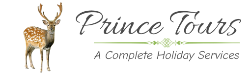 PrinceTourLogo